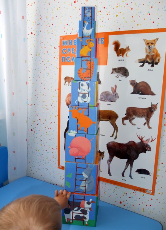 Кубики Djeco. Играем каждый день!