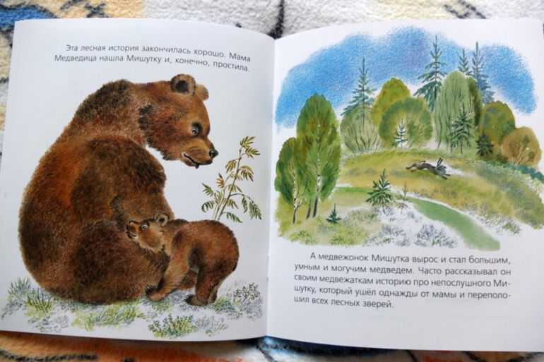 Наши медведи =)