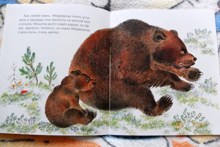 Наши медведи =)