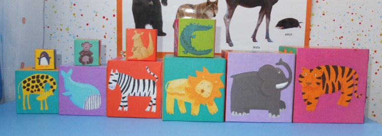 Кубики Djeco. Играем каждый день!