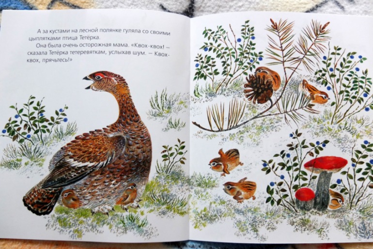 Наши медведи =)