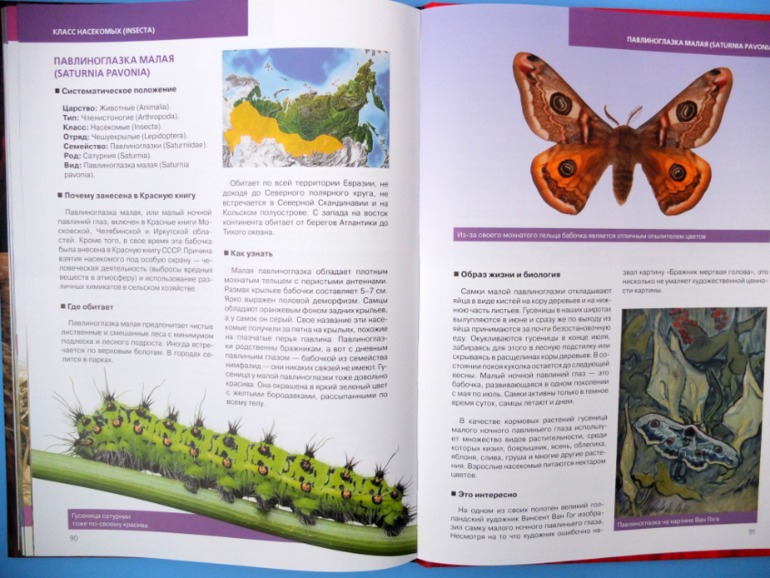 Итоги книжного ноября