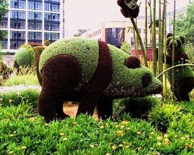 Где купить топиарии