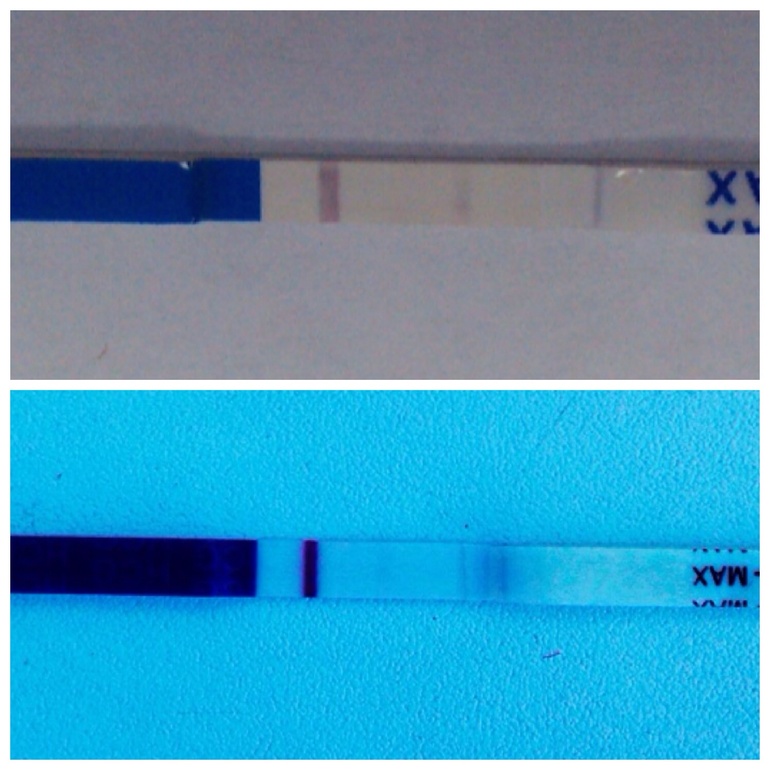 2c9915fa72e0633c13cdb0734d43e2ab.jpg