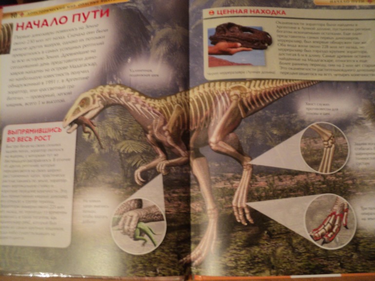 Наши книжки в сентябре.