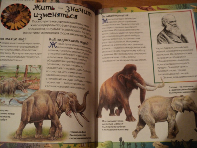 Наши книжки в сентябре.