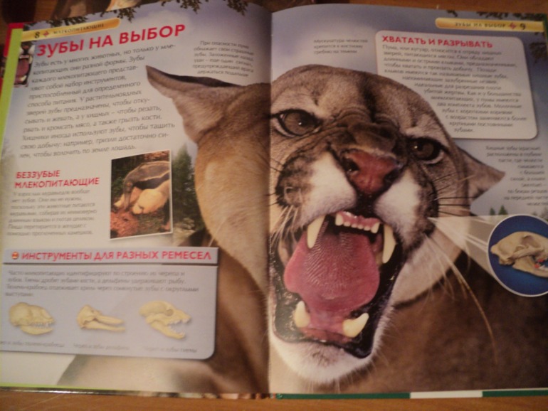 Наши книжки в сентябре.