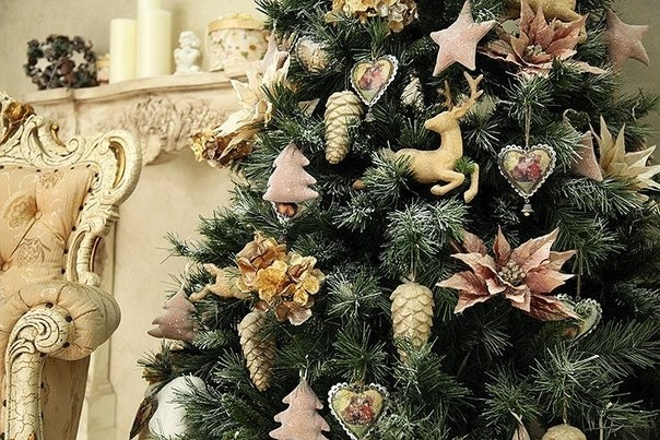 приглашаю на фотосессии!