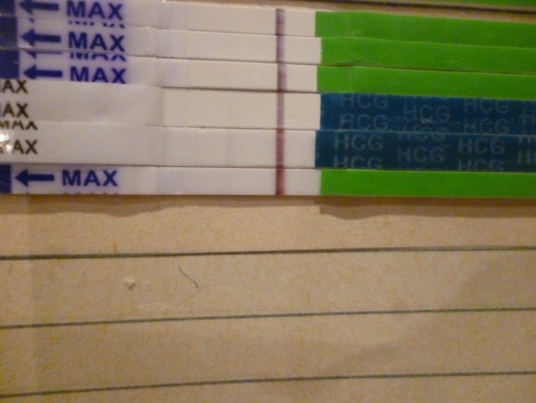 Вчера 80% ваших мнений по тесту