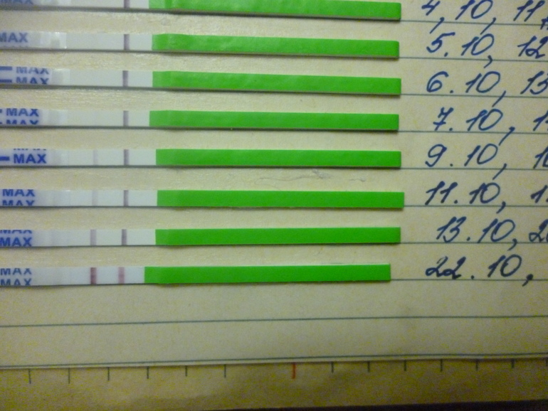 15 ДЗ или 29 ДПО