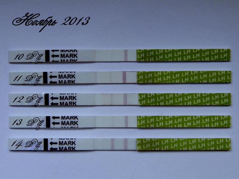 Моя О - шпионка! )))