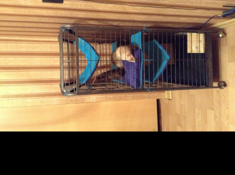 Во сколько оценить работу?