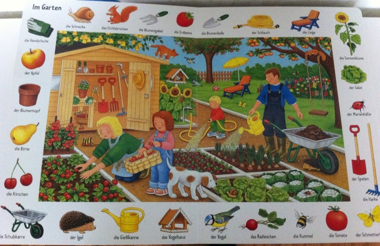 Книга для поиска(18мес+) на немецком