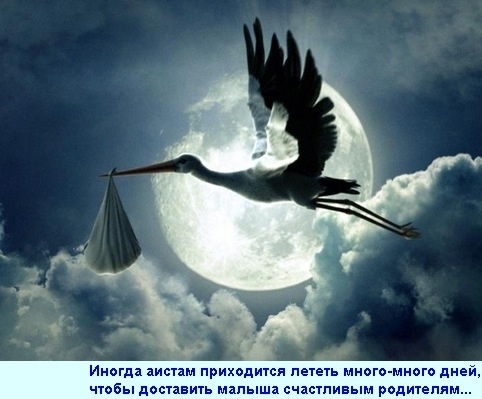 Сегодня начинаю новый цикл.