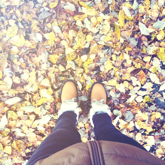 Неужели Мистер Пуззи?)