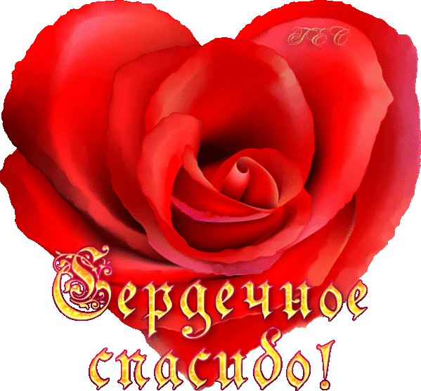 СПАСИБО ОГРОМНОЕ ФЕЕЧКЕ