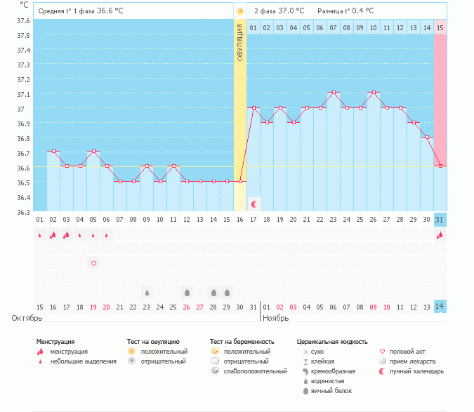 мои наблюдения