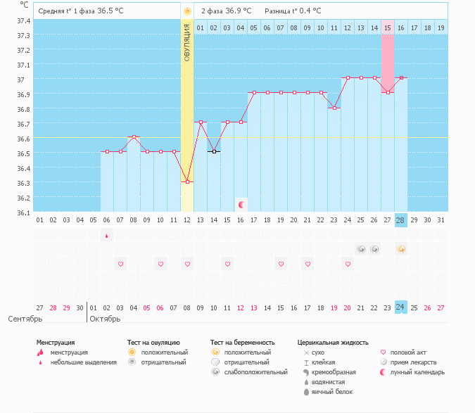 Ура! Мы беременны!