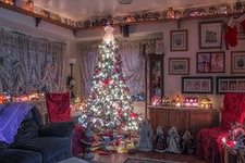 5d416b1a061a6e0480256a6881ce9a26.jpg