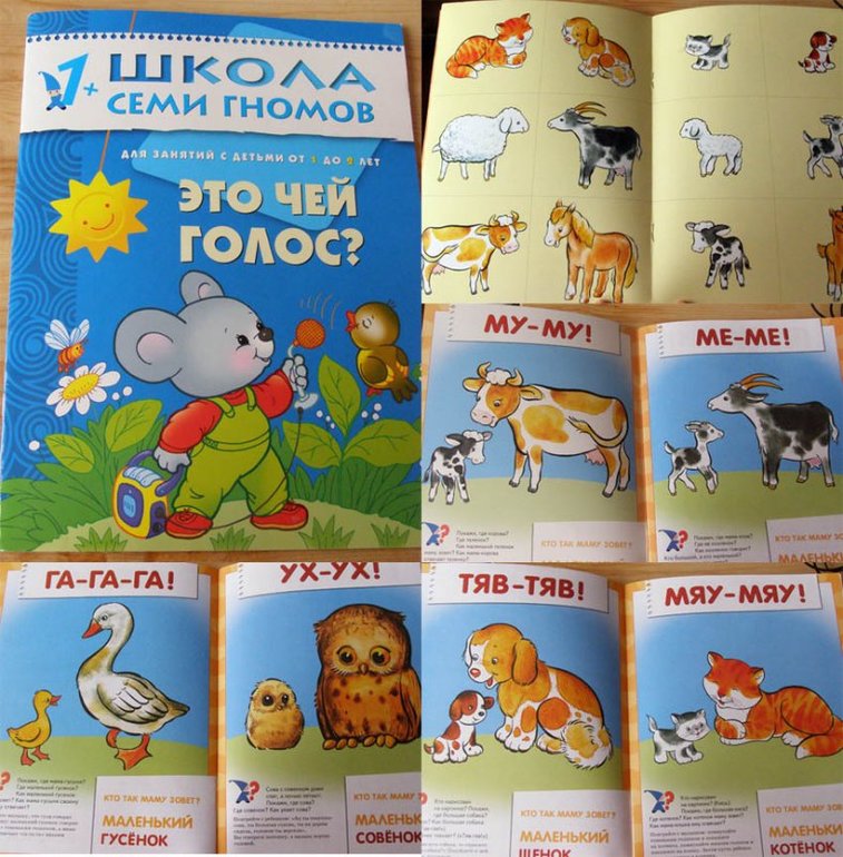 Развитие речи, звукоподражания