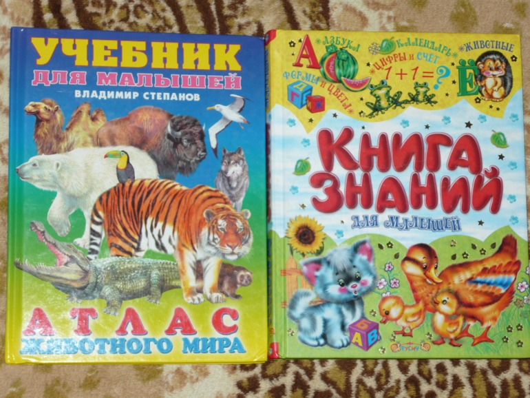 Книжки двух мальчишек