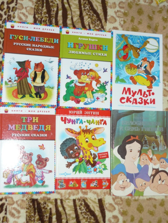 Книжки двух мальчишек
