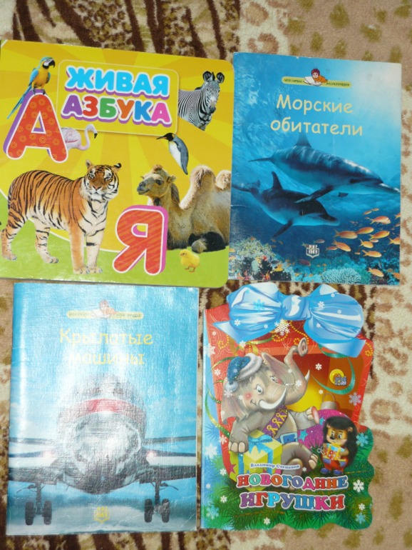 Книжки двух мальчишек