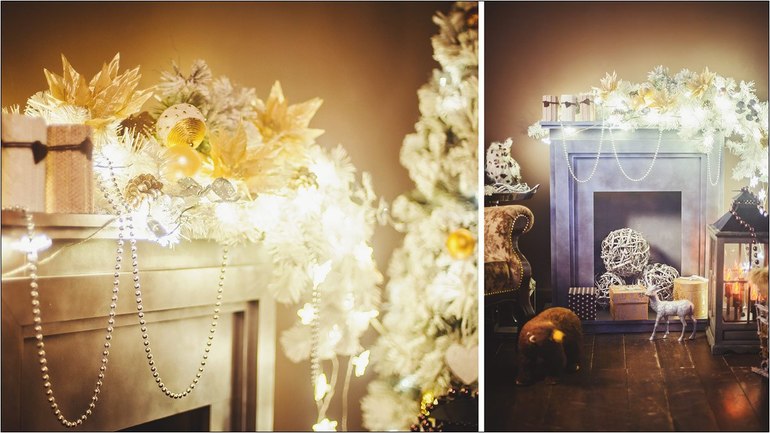 Фотопроект "Новогодняя сказка" - ОСВОБОДИЛОСЬ 1 место 23 ноября