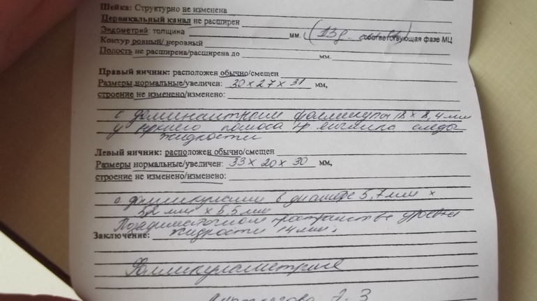 знатоки и не очень,девчонки все СЮДА)