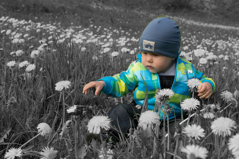 Контрольное задание № 6. Три способа цветокоррекций фотографий