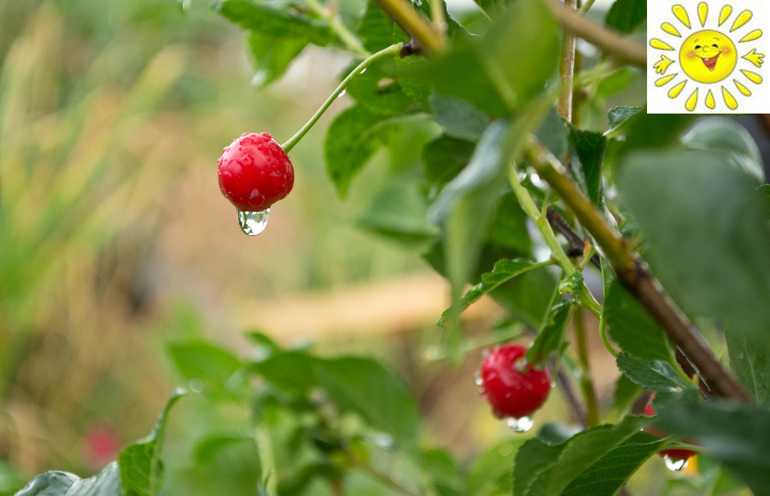 Урок №3. Слои