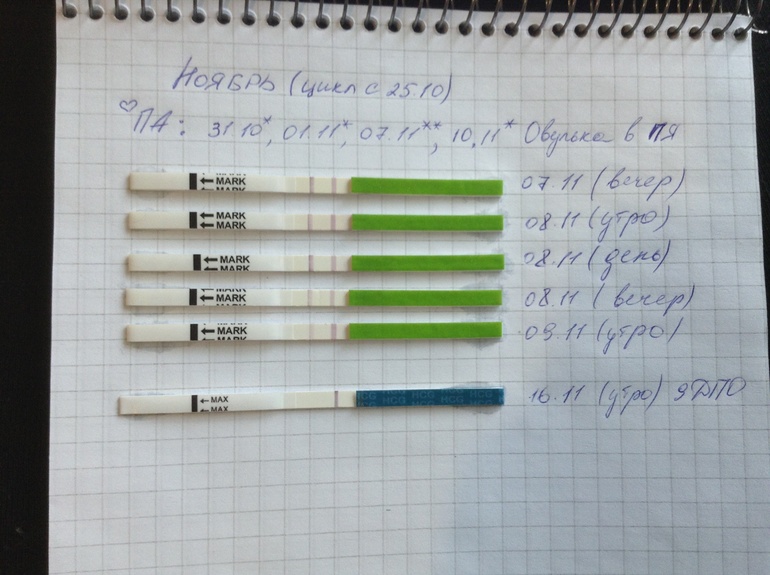 Мой 8-9 ДПО и нетерпеливая йа)