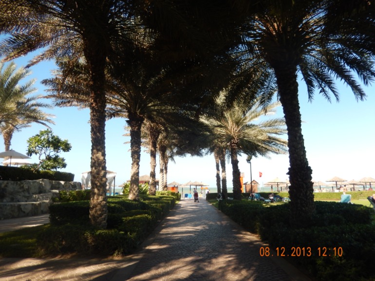 Coral Beach Resort 4* в Шарже, декабрь 2013 г.