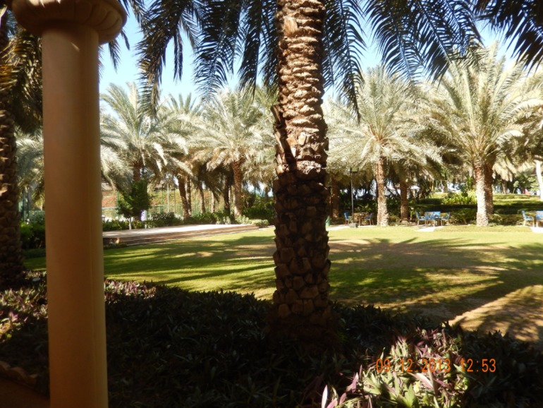 Coral Beach Resort 4* в Шарже, декабрь 2013 г.