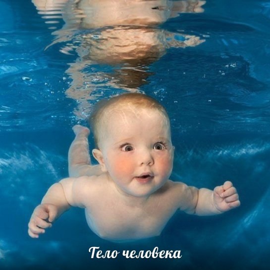 94fbf7196bd7de47517e9d54562d895a.jpg