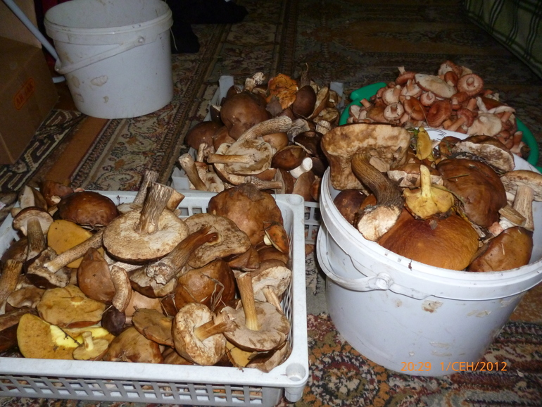 1fcbdbe5b097ede0fe93a0ac6cc919d0.jpg