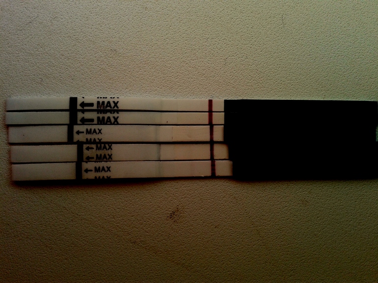 ВОТ ОНИ МОИ ДОЛГОЖДАННЫЕ!)))