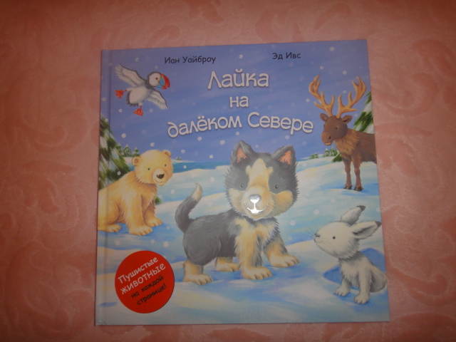 Заказ из Школы еми гномов