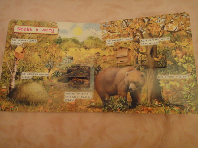 Посылка из Озона! И мой первый обзор)