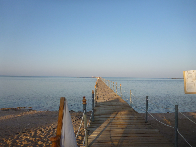 Royal Albatros Moderna 5* Шарм Эль Шейх. Египет.