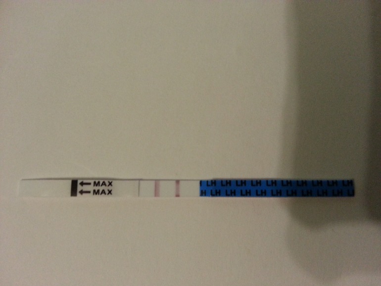 Это 100% Овуляция ??