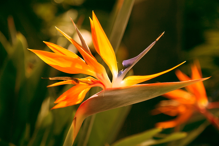 Контрольное задание № 6.