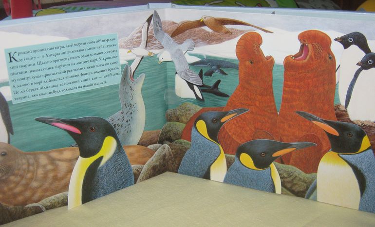 Наши книжки-картонки с сюрпризами