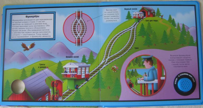 Наши книжки-картонки с сюрпризами