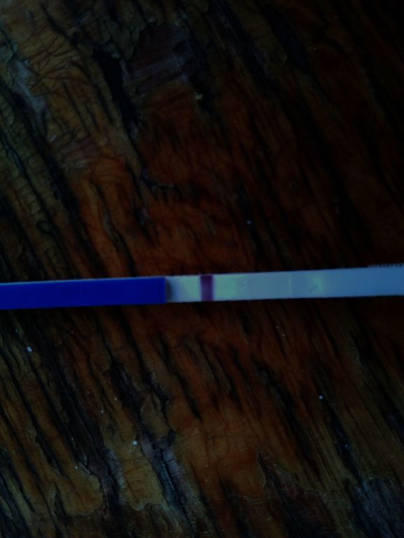 Оно или нет???