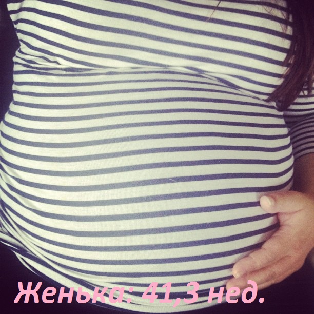 42-я неделя: вести с полей