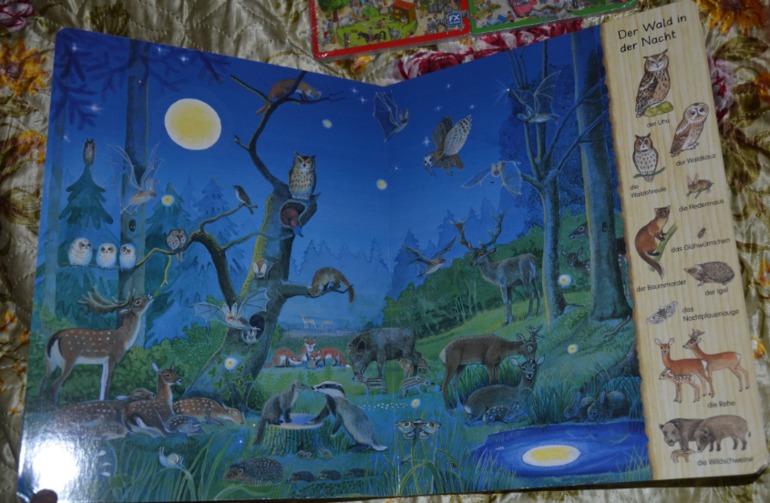 Wimmelbuch.Огромное количество фото