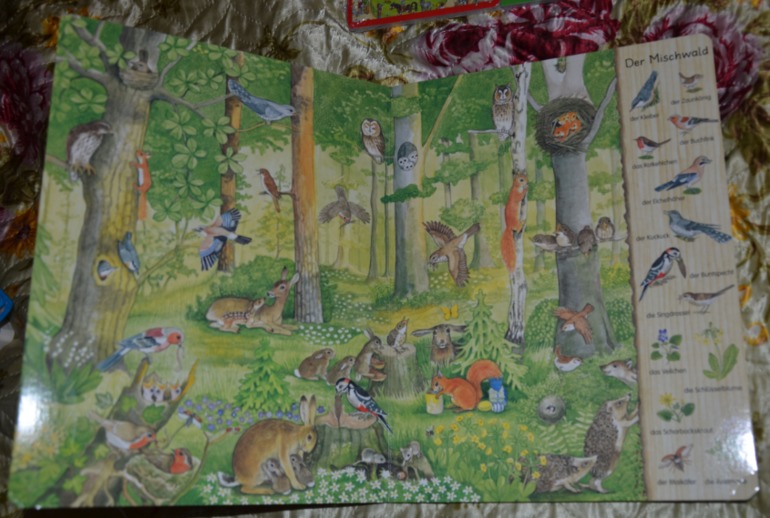 Wimmelbuch.Огромное количество фото