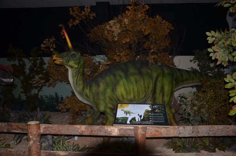 Aquis Zorbas Village и наши поездки по Криту. 2 часть