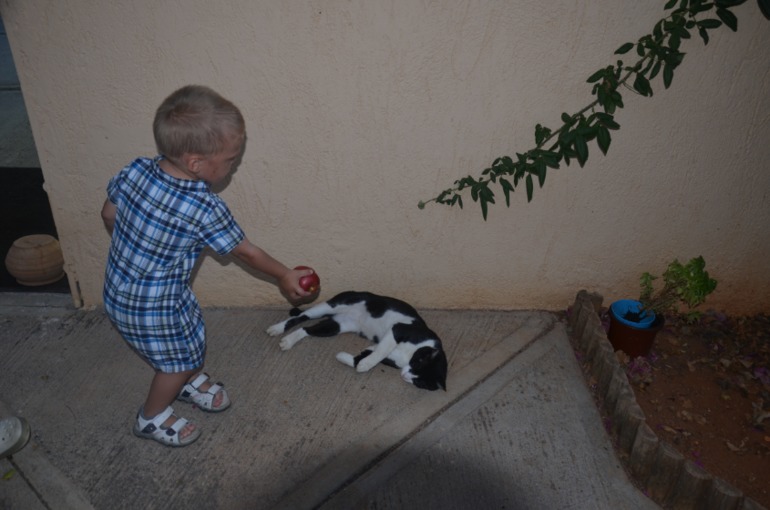 Aquis Zorbas Village и наши поездки по Криту. 2 часть